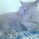 ���� Tatyana, �������, 65 ��� - ��������� 17 ���� 2016 � ������ ���� ����������