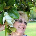 ���� �����, ��������, 66 ��� - ��������� 6 ���� 2016 � ������ ���� ����������