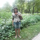 ���� 2016 ��� �� ������� ���� ����������