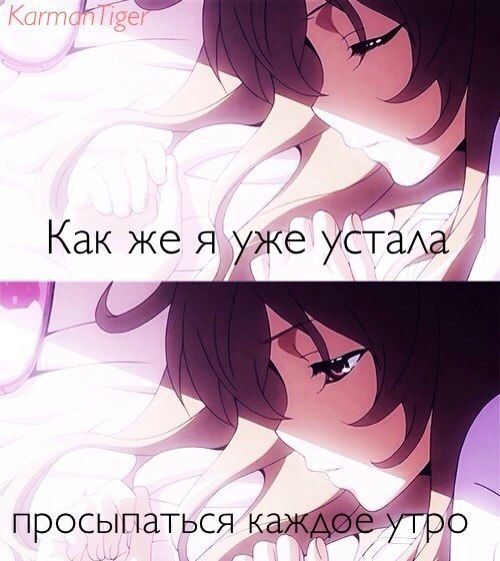  | Anime - 5  2016  21:14