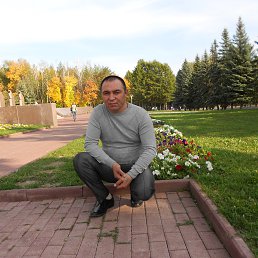 ����, �����, 51 ���