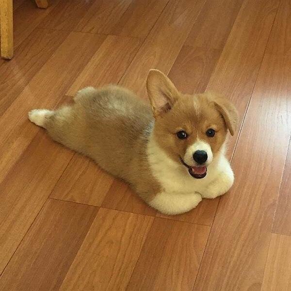?   