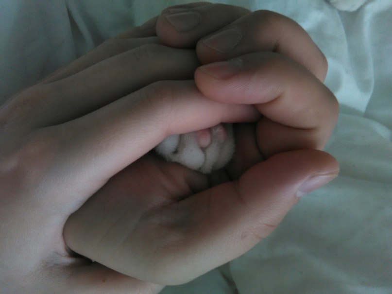 #_@catism., ,   ...   .   ...