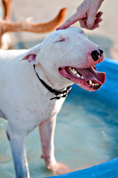     ?     ?      ?   ...