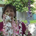 ���� Nina, ������ - ��������� 3 ���� 2016 � ������ ���� ����������