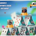 ���� Maddog, ������, 47 ��� - ��������� 6 ���� 2016 � ������ �������� �������-�������