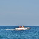  , , 60  -  6  2016   , 2016,