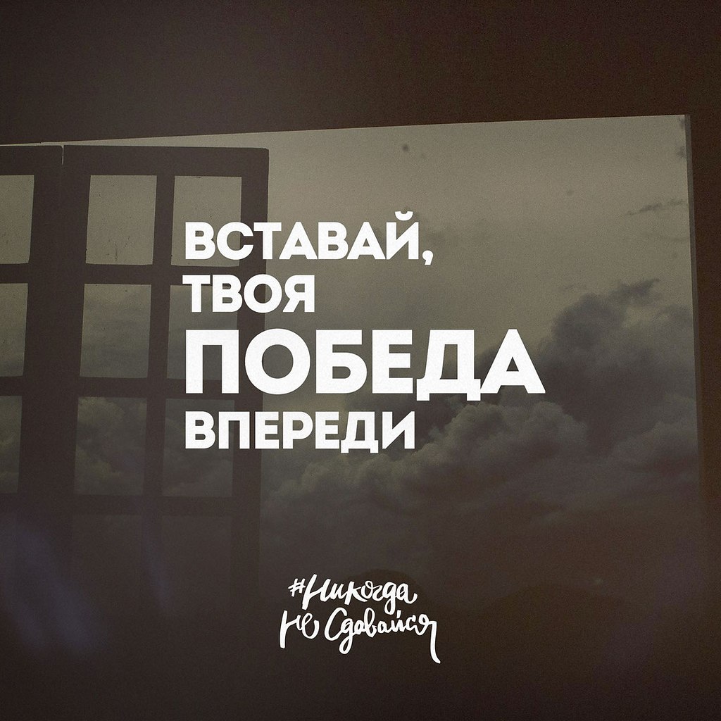  -   - 11  2016  09:09