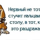 ****, , 48  -  6  2016    
