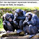 ���� ���������, ������ - ��������� 22 ����� 2016 � ������ ������ ��������