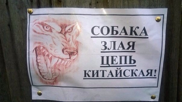  )