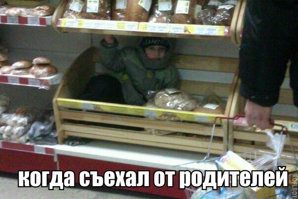    :D - 15  2016  05:30