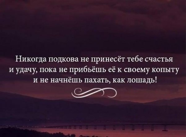 BEST | , ,  - 19  2016  23:55