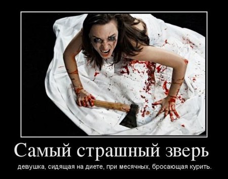Vadim - 2  2016  15:36
