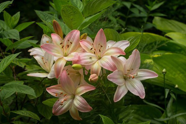    - 11  2016  20:29 - 2