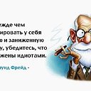 ���� Kis, ������, 43 ���� - ��������� 29 ����� 2016 � ������ ������ ��������