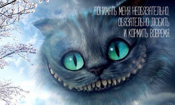 ������ �������� �������� - ���������� ���� - 5