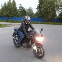 ���� ���������, �����-��������� - ��������� 31 ��� 2016 � ������ ���� ����������