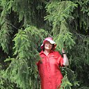 ���� �������, ��������� - ��������� 7 ���� 2016 � ������ ���� ����������