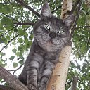 ���� Alex, ������, 56 ��� - ��������� 2 ������� 2016 � ������ ���� ����������