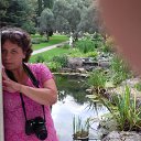 ���� ����, ��������� - ��������� 29 ������� 2016 � ������ ���� ����������