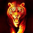 ���� �������, ����, 51 ��� - ��������� 2 ���� 2016