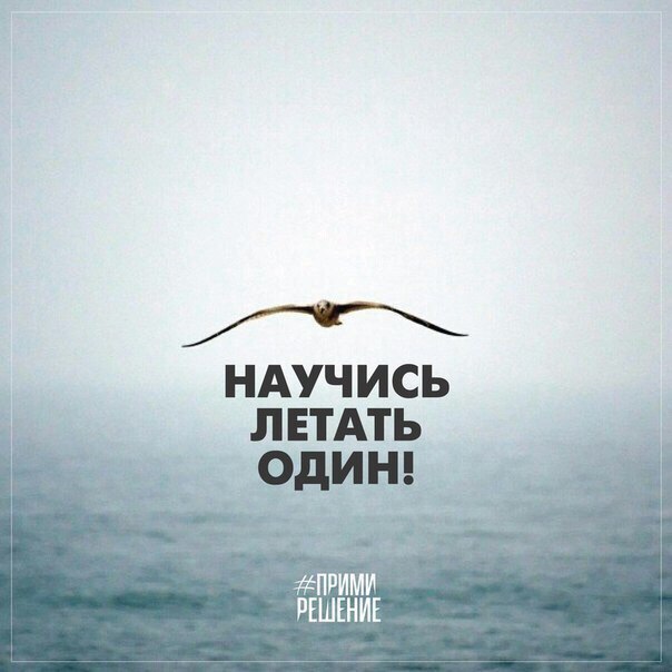  -   - 27  2016  13:04