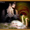 ���� ���������, ���������, 72 ���� - ��������� 2 �������� 2016 � ������ ������ ��������