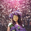 ���� ��������, ������ - ��������� 12 ����� 2016 � ������ �����������