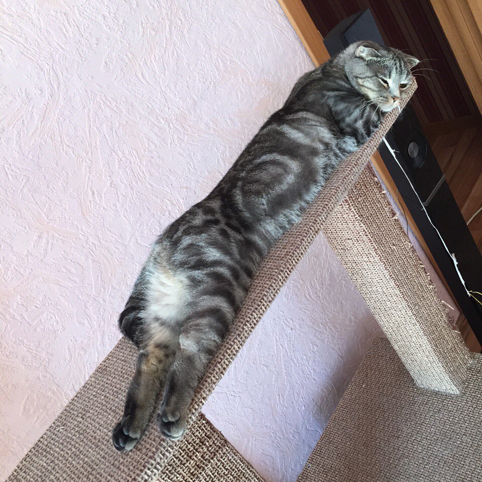  )