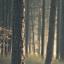 ���� �������, ������, 64 ���� - ��������� 30 ���� 2016 � ������ ������ ��������