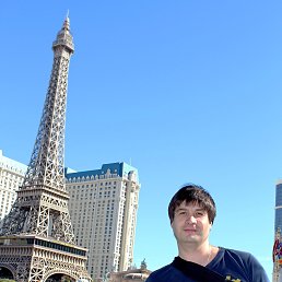 ����, ������, 41 ���