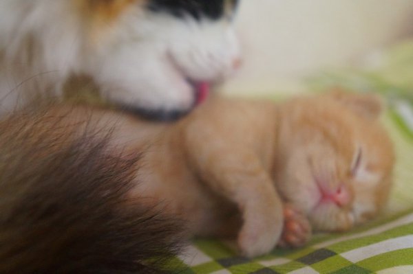       - 21  2016  13:36 - 3