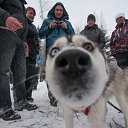 ���� ����, ���������, 41 ��� - ��������� 13 ��� 2016 � ������ ���� ����������