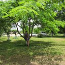 ���� �������, �����, 52 ���� - ��������� 26 ���� 2016 � ������ ���� ����������