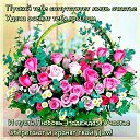 ���� �������, ���������� - ��������� 28 ������ 2016 � ������ ������ ��������