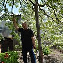 ���� ������, ���������, 65 ��� - ��������� 7 ��� 2016 � ������ ���� ����������