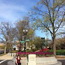 ���� ����, ���������, 70 ��� - ��������� 14 ������ 2016 � ������ ���������� - ������� ����