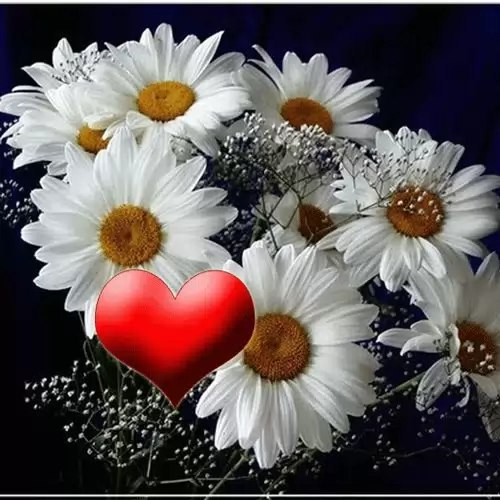  ,    - <a href=