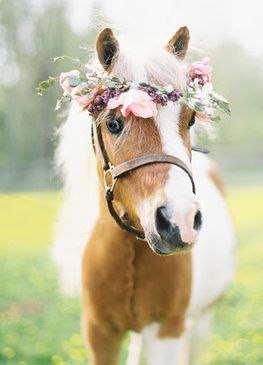    - 27  2016  11:09 - 2