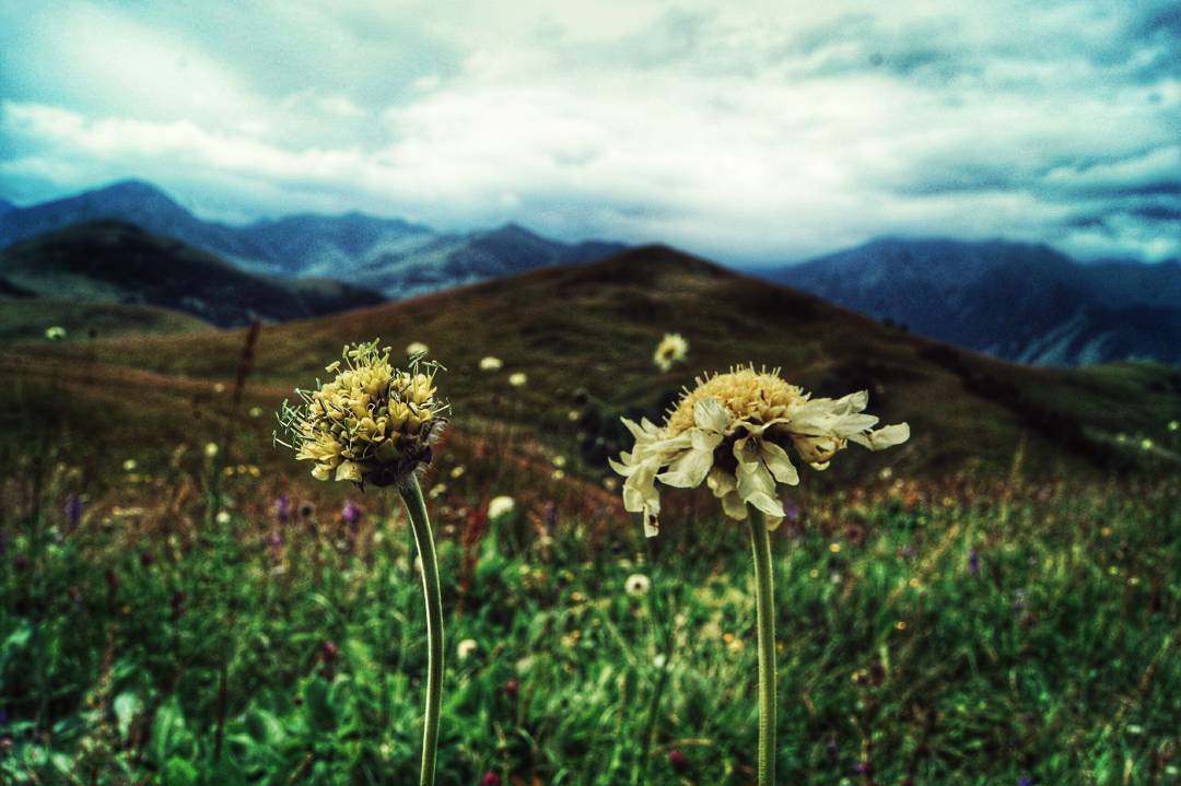     -    amiruzden. - 4