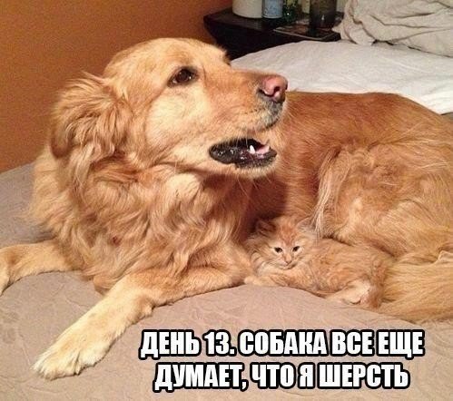 ... - 28  2016  18:35