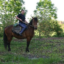 ���� ������, ������, 55 ��� - ��������� 28 ������� 2016