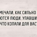 ���� �������, ������, 39 ��� - ��������� 7 �������� 2016 � ������ ������ ��������