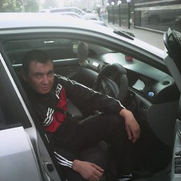Alecsand, �����������, 38 ���