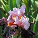  , , 60  -  16  2016    ,,18.05.16.