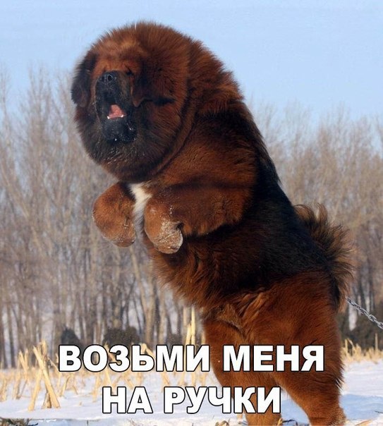    :D - 30  2016  13:13