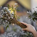 ���� ������, ������ - ��������� 23 ������ 2016 � ������ ���� ����������