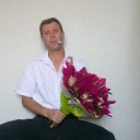 ���� ������, ���������, 44 ���� - ��������� 21 ������� 2016 � ������ ���� ����������