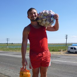  , -, 41  -  17  2016